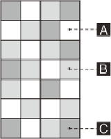 エコカラットデザイン組合せ図